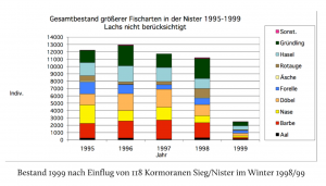 Fischverluste Nister durch Kormorane im Winter 1998/1999